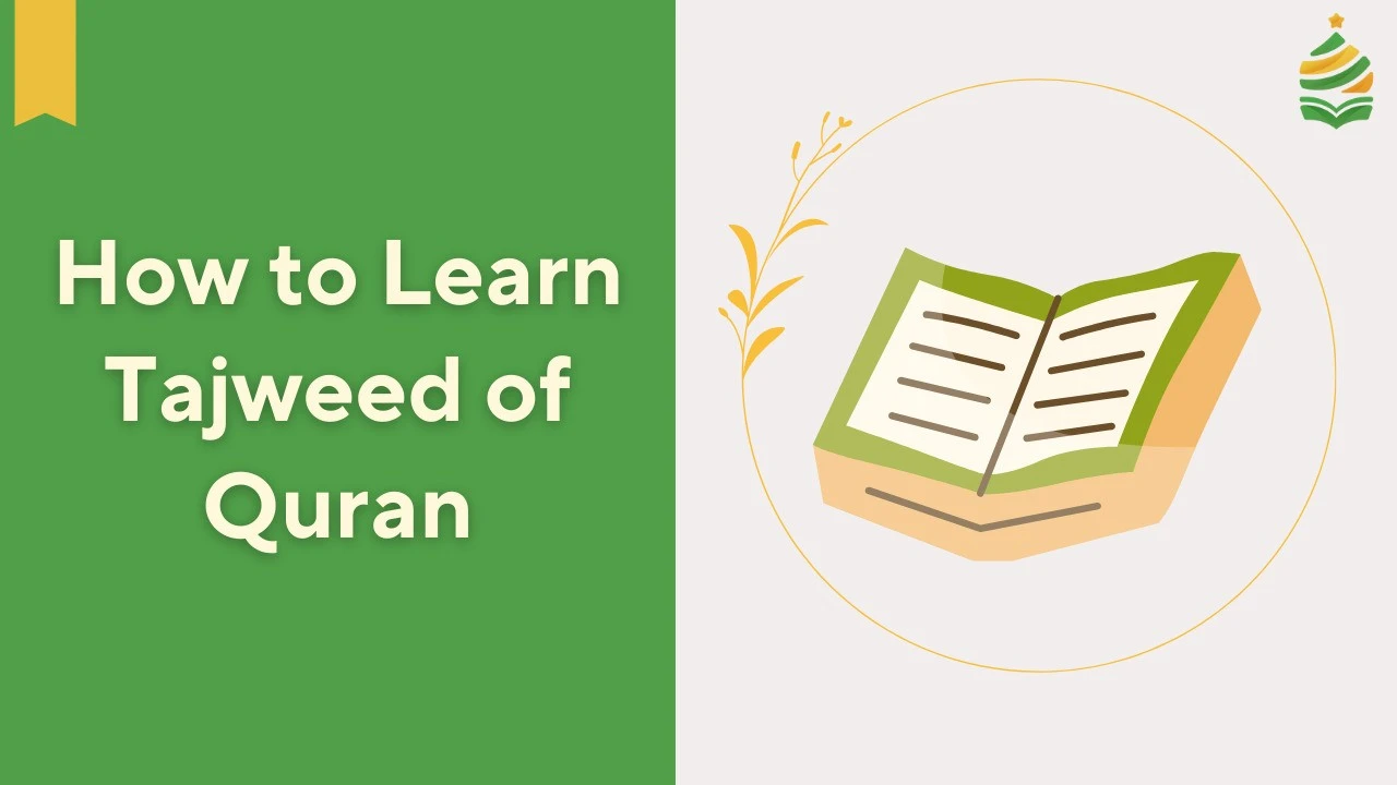 How to Learn Tajweed of Quran