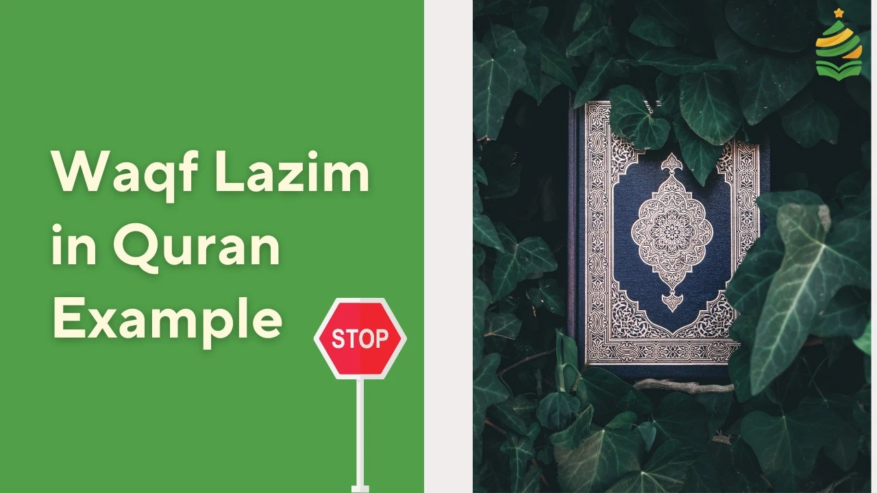 Waqf Lazim in Quran With Examples